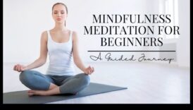 رحلات مدروسة: استكشاف التأمل الموجه