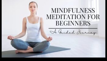 رحلات مدروسة: استكشاف التأمل الموجه