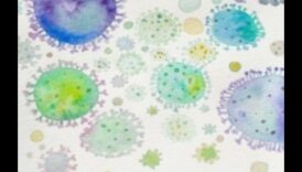 الشعر المجهري: صياغة الآيات المرئية من خلال العدسات الكلية