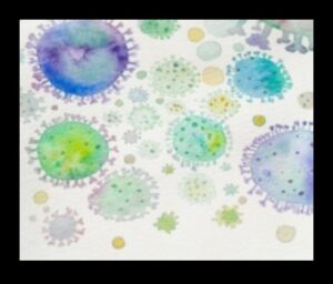 الشعر المجهري: صياغة الآيات المرئية من خلال العدسات الكلية