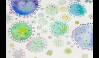 الشعر المجهري: صياغة الآيات المرئية من خلال العدسات الكلية