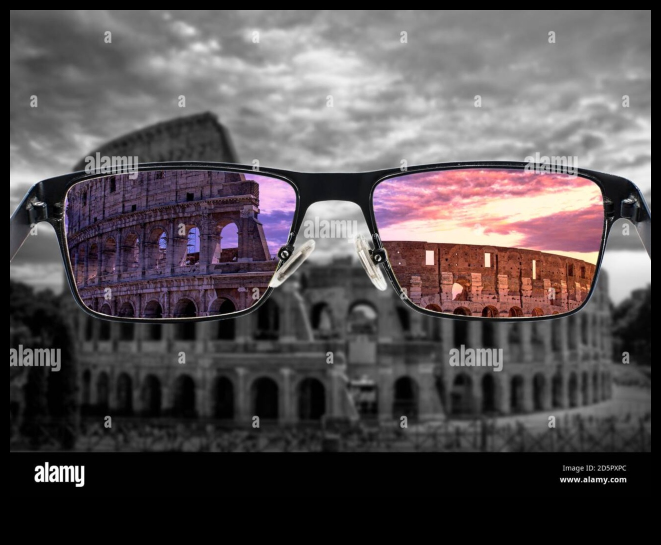 تصميم وجهات نظر: فن الويب من خلال عدسات مختلفة