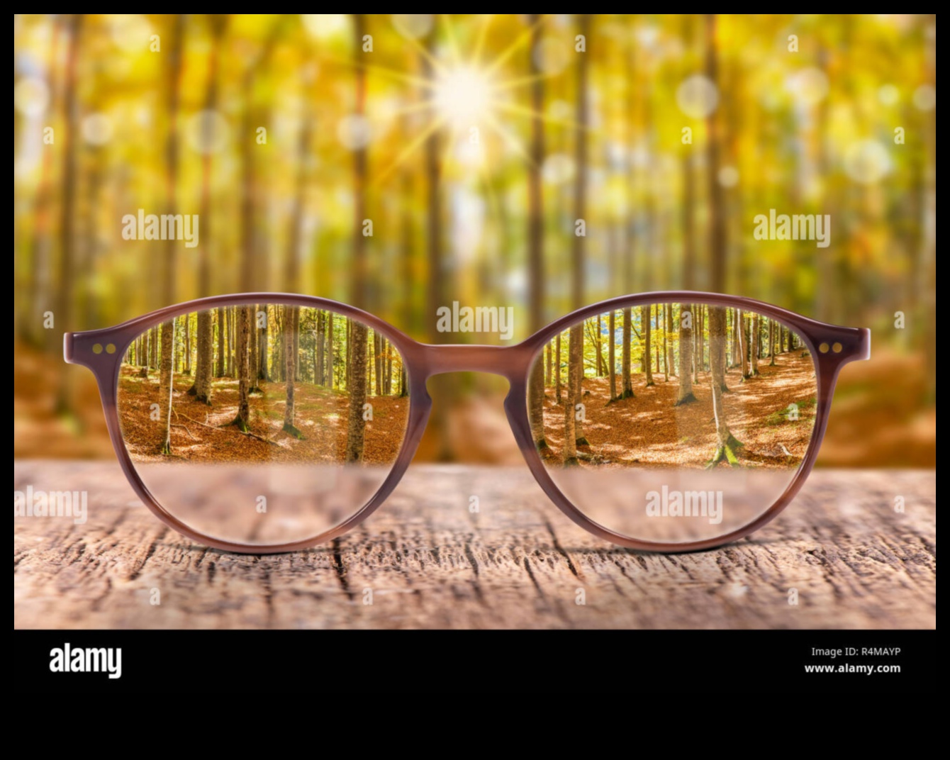 تصميم وجهات نظر: فن الويب من خلال عدسات مختلفة