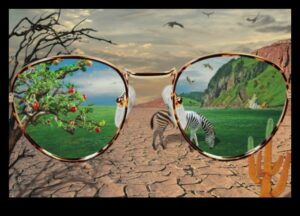 تصميم وجهات نظر: فن الويب من خلال عدسات مختلفة