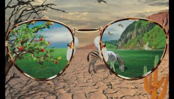 تصميم وجهات نظر: فن الويب من خلال عدسات مختلفة