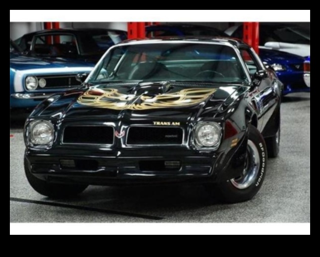 القيادة عبر الذكريات: السيارات الكلاسيكية والرحلات العاطفية