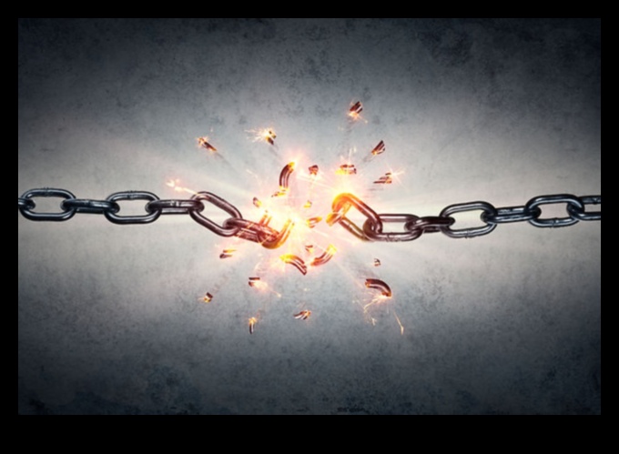 إطلاق العنان للتصوير الفوتوغرافي: أتقن مهنتك من خلال التعليم الشامل