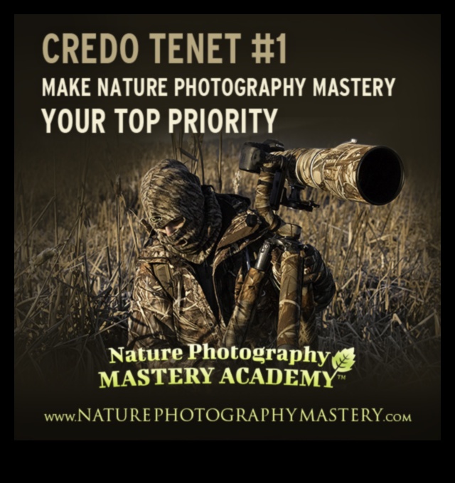 تأطير التميز: رحلة إلى إتقان تعليم التصوير الفوتوغرافي 2 تأطير التميز: رحلة إلى إتقان تعليم التصوير الفوتوغرافي