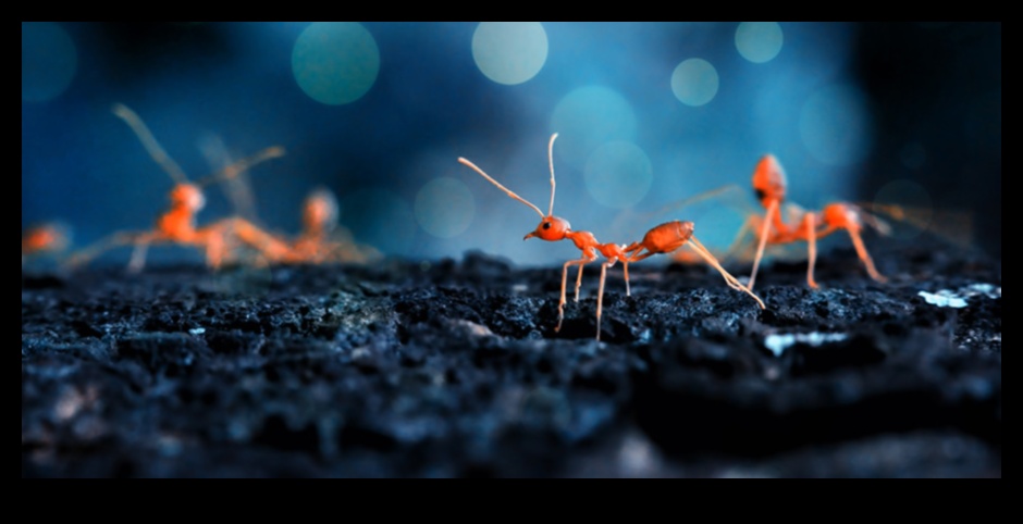 فن الأشياء الصغيرة: استكشاف آسر للتصوير الفوتوغرافي الكلي