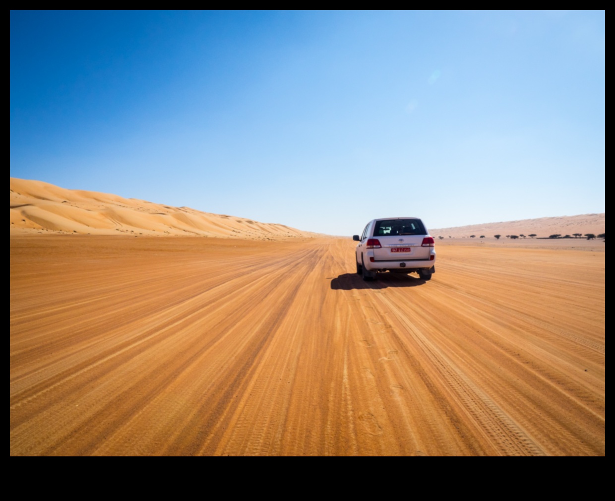 أحلام الصحراء: مركبات الطرق الوعرة تتعامل مع الرمال ببراعة لا مثيل لها