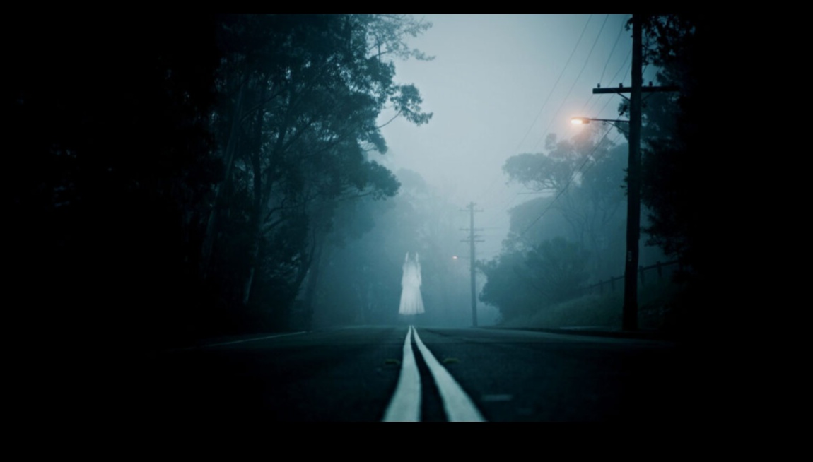 تأملات على جانب الطريق: القصص وراء النقل بالشاحنات التجارية