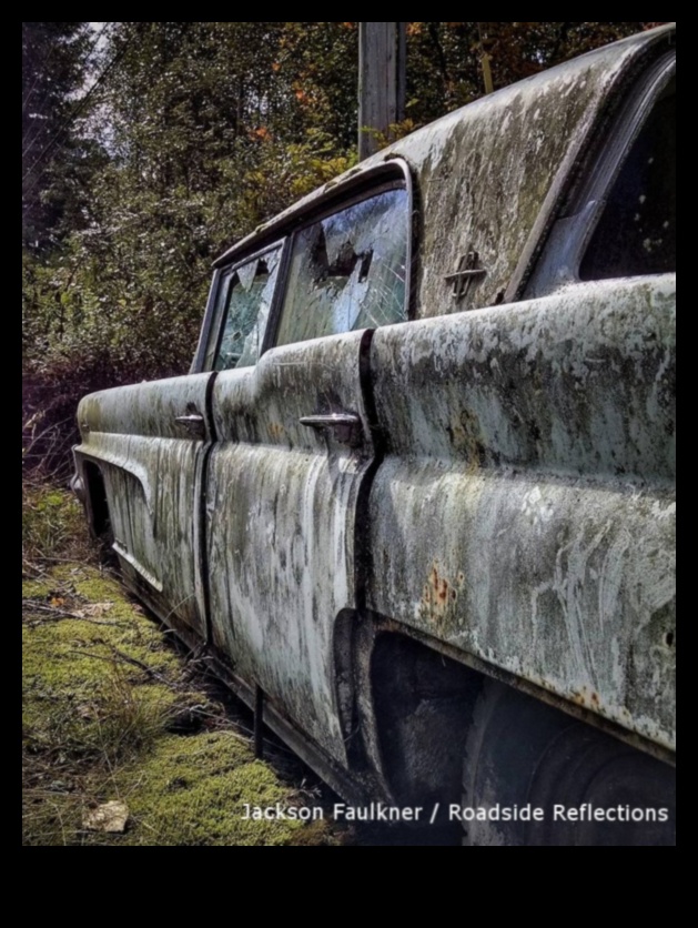 تأملات على جانب الطريق: القصص وراء النقل بالشاحنات التجارية