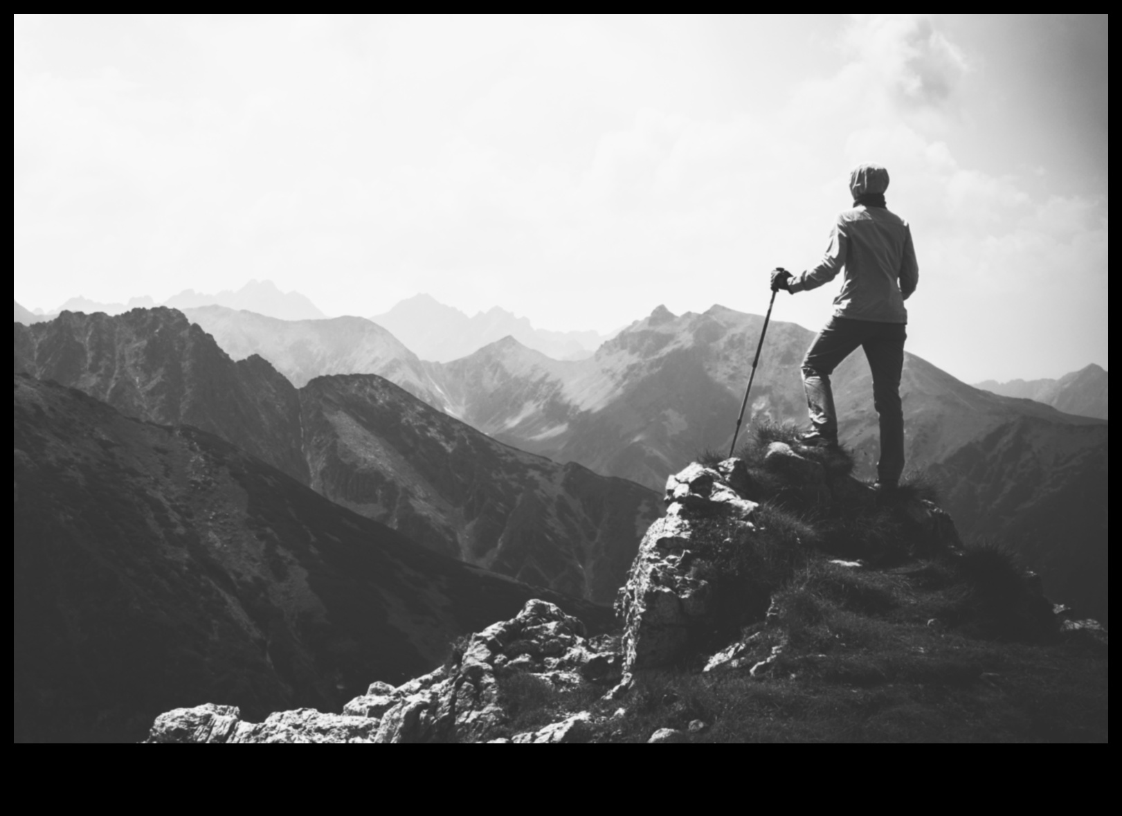 التقدم الرائد: استراتيجيات إدارة الأعمال الرائدة