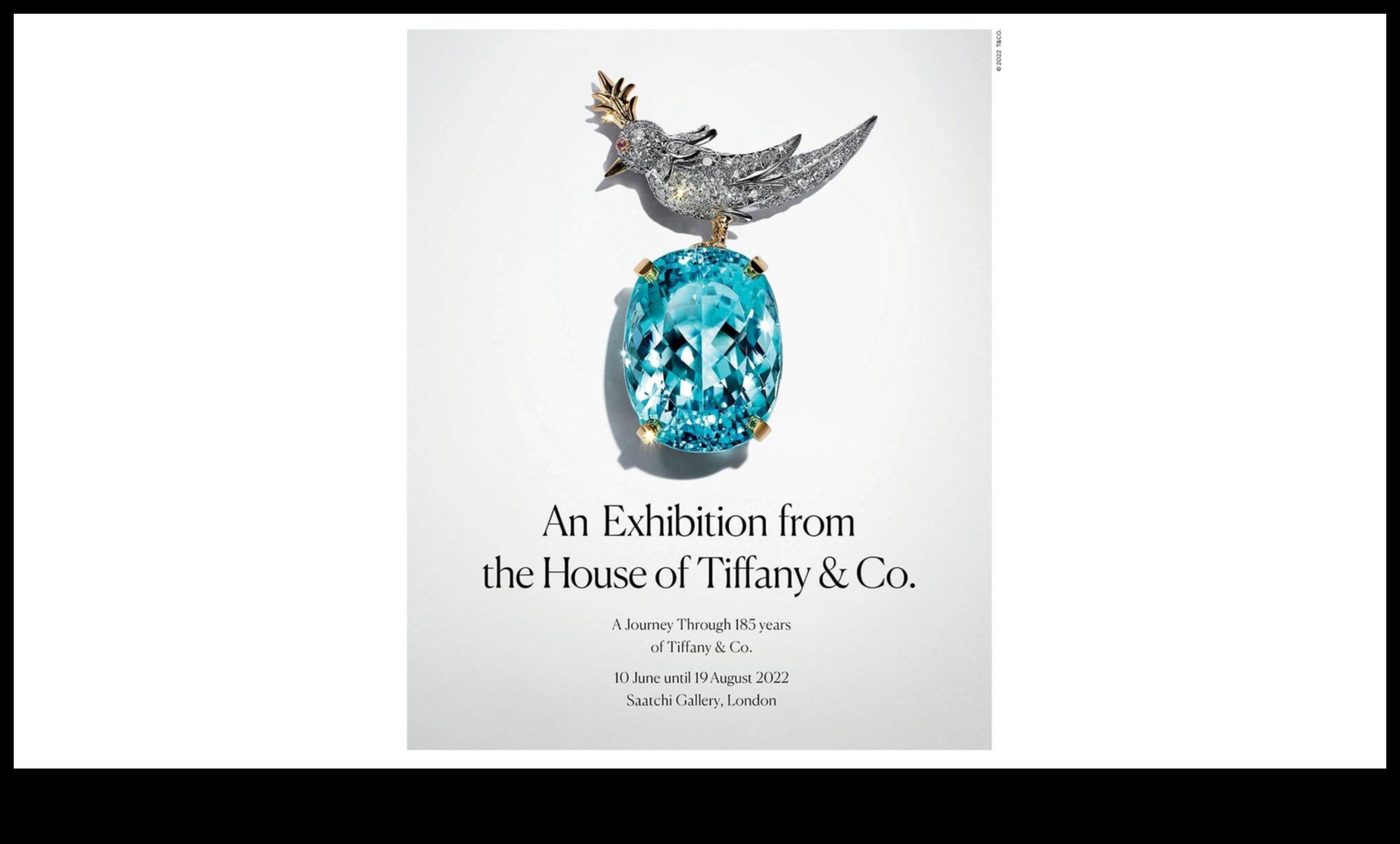 البراعة البصرية: تحقيق التميز الفني في تحسين الصور