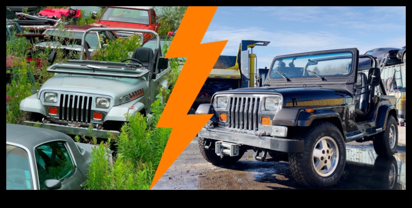 أوديسي العجلات البيئية: رحلات واكتشافات في عالم المركبات الكهربائية