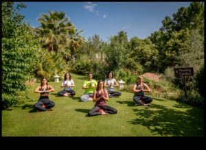 التراجع الواعي: الهروب إلى الهدوء من خلال تقنيات الاسترخاء الفعالة