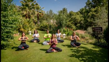 التراجع الواعي: الهروب إلى الهدوء من خلال تقنيات الاسترخاء الفعالة